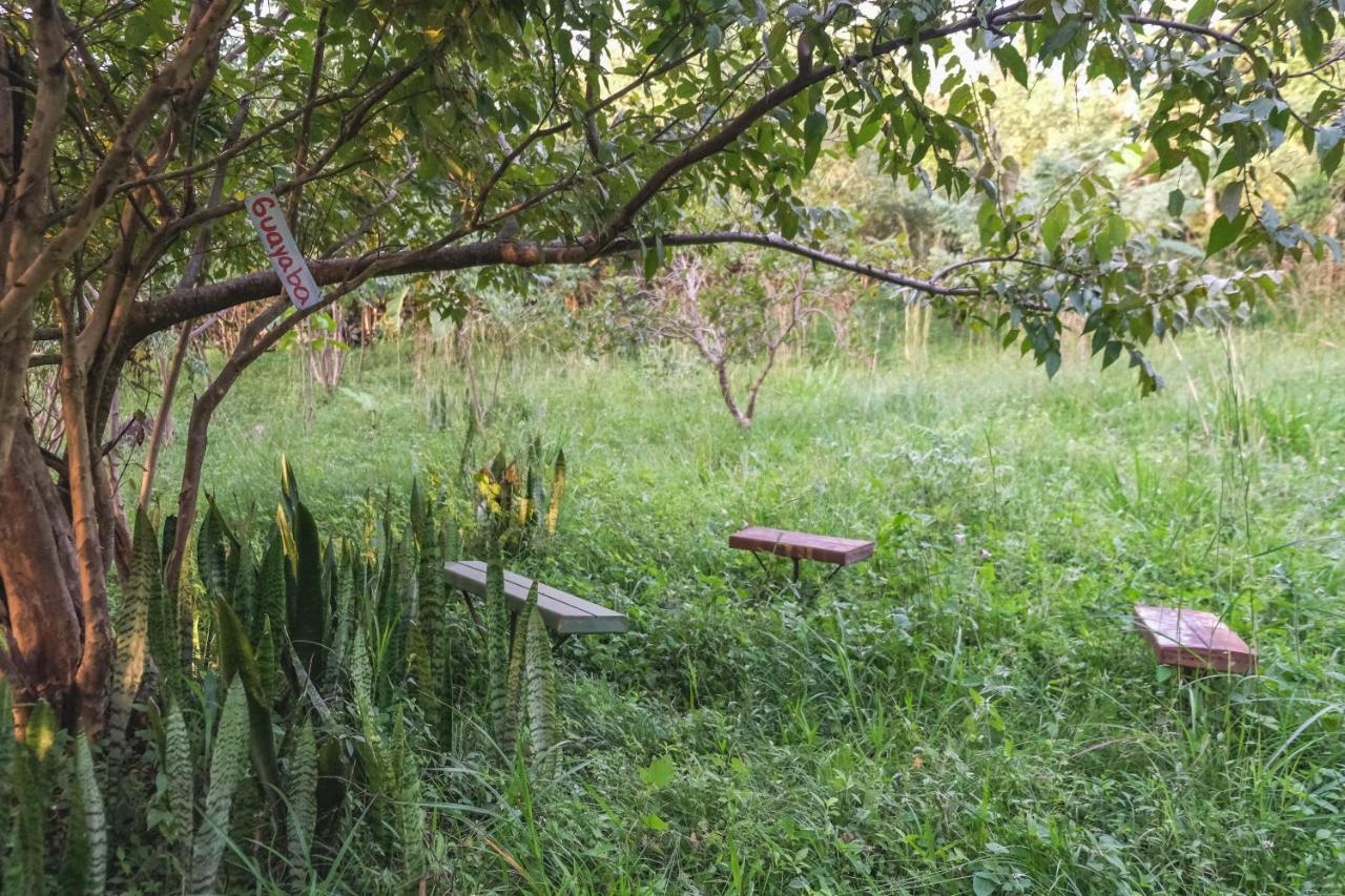 Estacion Biologica Aguali Hostel Ματαγάλπα Εξωτερικό φωτογραφία